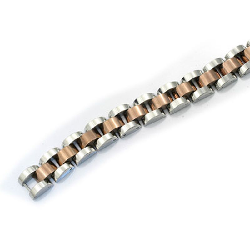 TAM.21-2501732100-1