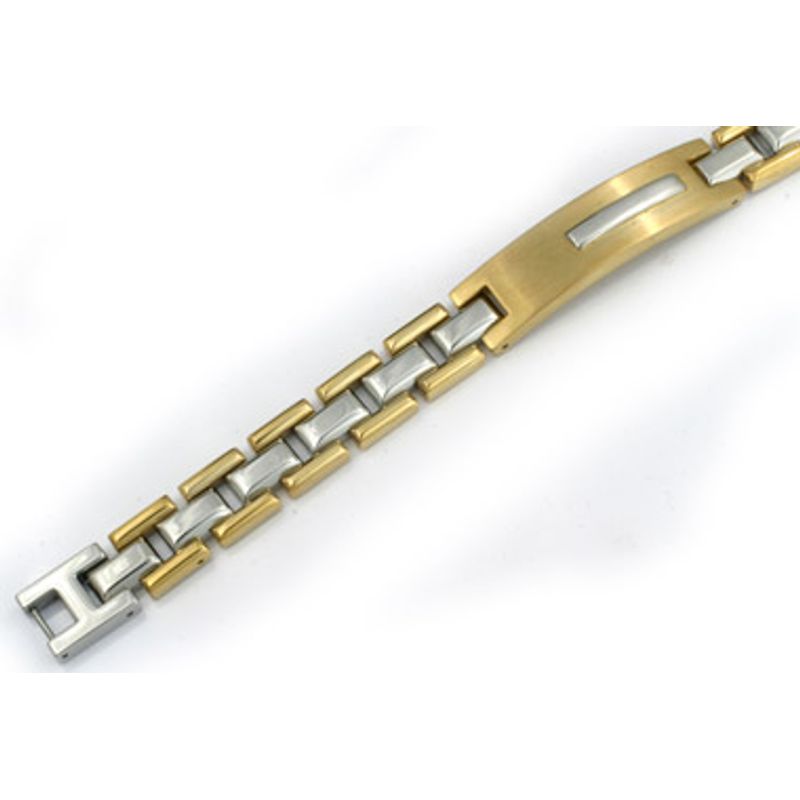 TAM.21-2501652100-1