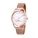 TAM.UNICO-6500640000-1