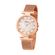 TAM.UNICO-6500950000-1