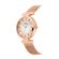 TAM.UNICO-6500950000-2