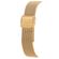 TAM.UNICO-6500250000-5