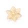 TAM.UNICO-5429570000-1